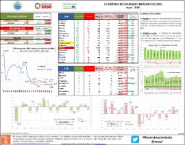 Estadística de Sociedades Mercantiles (SM)[ mayo - 2020]