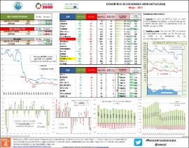 Estadística de Sociedades Mercantiles (SM) [Mayo 2021]
