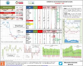 Estadística de sociedades mercantiles (sm) [Noviembre - 2020]