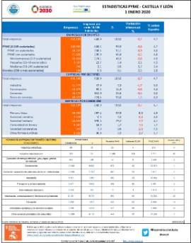 Estadísticas PYME CyL [1-01-2020]