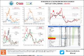 Evolución de la licitación por fecha anuncio Castilla y León y España – [julio 2021]