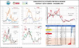 Evolución de la licitación por fecha anuncio CyL y España- [Diciembre 2019]