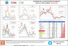 Evolución de la licitación por fecha anuncio CyL [octubre 2020]