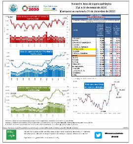 Evolución listas de espera quirúrgica [CyL a 31 de marzo de 2023] [Comparativa nacional a 31 de diciembre de 2022]