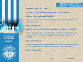 Ficha Actualidad Económica - APOYO EMPRESAS Y TRABAJADORES Nº 29