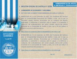 Ficha Actualidad Económica - APOYO EMPRESAS Y TRABAJADORES Nº 70