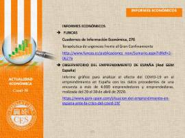 Ficha Actualidad Económica - INFORMES ECONOMICOS Nº 12