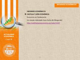 Ficha Actualidad Económica - INFORMES ECONOMICOS Nº 16