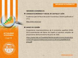 Ficha Actualidad Económica - INFORMES ECONOMICOS Nº 17