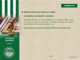 Ficha Actualidad Económica - NORMATIVA Nº 105