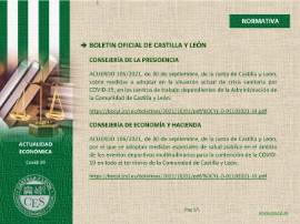 Ficha Actualidad Económica - NORMATIVA Nº 106