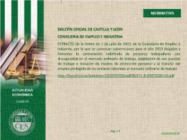 Ficha Actualidad Económica - NORMATIVA Nº 33