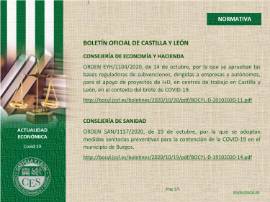 Ficha Actualidad Económica - NORMATIVA Nº 53
