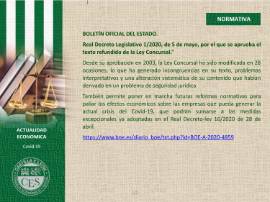 Ficha Actualidad Económica - NORMATIVA Nº6
