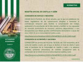 Ficha Actualidad Económica - NORMATIVA Nº 60