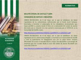 Ficha Actualidad Económica - NORMATIVA Nº 8