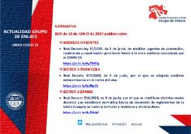 Ficha actualidad. Grupo de Enlace [10 de junio 2020]