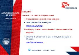 Ficha actualidad. Grupo de Enlace [11 de junio 2020]