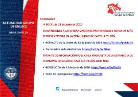 Ficha actualidad. Grupo de Enlace [18 de junio 2020]