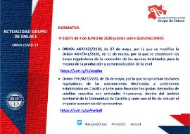 Ficha actualidad. Grupo de Enlace [4 de junio 2020]