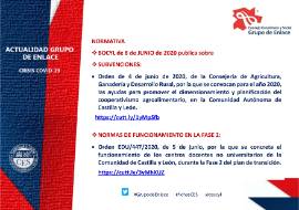 Ficha actualidad. Grupo de Enlace [8 de junio 2020]