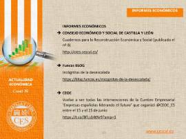 Ficha de actualidad. INFORMES ECONÓMICOS Nº 21