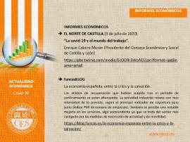 Ficha de actualidad. INFORMES ECONÓMICOS Nº 23