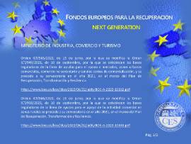 Ficha Fondos Europeos para la Recuperación nº 11