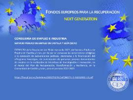 Ficha Fondos Europeos para la Recuperación nº 9