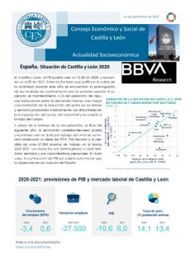 Flash de actualidad. España. Situación de Castilla y León 2020