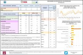 INDICADORES DE ACTIVIDAD DEL SECTOR SERVICIOS NOVIEMBRE 2024