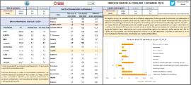 ÍNDICE DE PRECIOS AL CONSUMO (DICIEMBRE 2022)