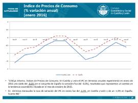 IPC Enero 2016