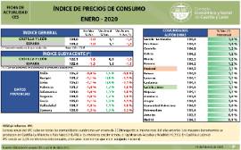 Índice de precios de consumo [Enero 2020]