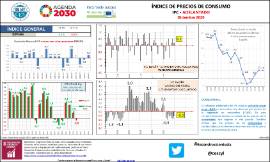 Índice de precios de consumo IPC - Adelantado [Diciembre 2020]