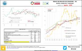 Índice de Precios de Consumo -IPC Grupos, Subgrupos y Subclases (ESPAÑA y CyL) [agosto - 2020]