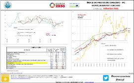 Índice de precios de consumo -IPC Grupos, subgrupos y subclases (España y CYL) [Diciembre 2020]