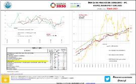 Índice de precios de consumo- IPC Grupos, subgrupos y subclases (España y CyL) [Enero 2021]