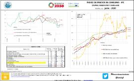 Índice de precios de consumo - IPC Grupos, subgrupos y subclases (ESPAÑA y CyL) [junio - 2020]