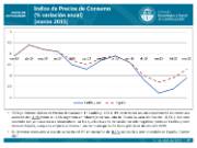Indice de Precios de Consumo [marzo 2015]