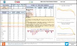 ÍNDICE DE PRECIOS INDUSTRIALES ENERO 2024