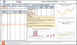 ÍNDICE DE PRECIOS INDUSTRIALES ENERO 2025