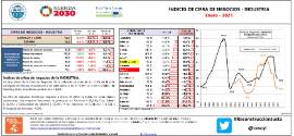 Índices de cifra de negocios - INDUSTRIA [Enero 2021]