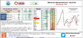 Índices de cifra de Negocios- INDUSTRIA [Noviembre - 2021]