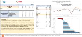 ÍNDICES DE CIFRAS DE NEGOCIOS - INDUSTRIA DICIEMBRE - 2024