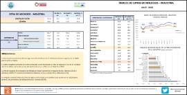 ÍNDICES DE CIFRAS DE NEGOCIOS - INDUSTRIA JULIO - 2022