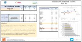 ÍNDICES DE CIFRAS DE NEGOCIOS - INDUSTRIA [MAYO 2022]