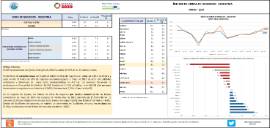 ÍNDICES DE CIFRAS DE NEGOCIOS - INDUSTRIA MAYO - 2024