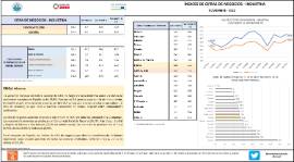 ÍNDICES DE CIFRAS DE NEGOCIOS - INDUSTRIA [NOVIEMBRE 2022]