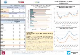 Índices de comercio al por menor DICIEMBRE 2024
